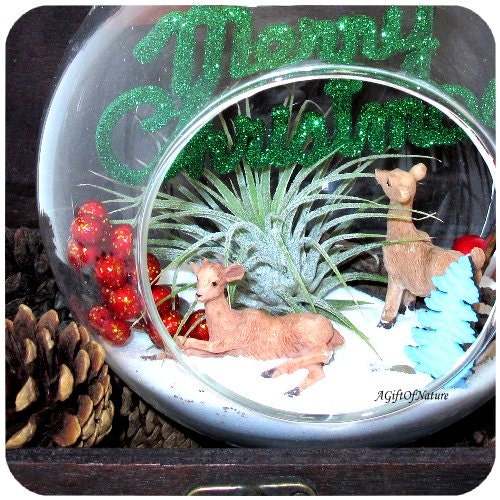 Woodland Animals Christmas Ornament Wintery Snow Terrarium - Glass Round Globe Tillandsia Air Plant ~ Holiday Decor ~ Home Decor ~ Gift Idea - AGiftofNature
