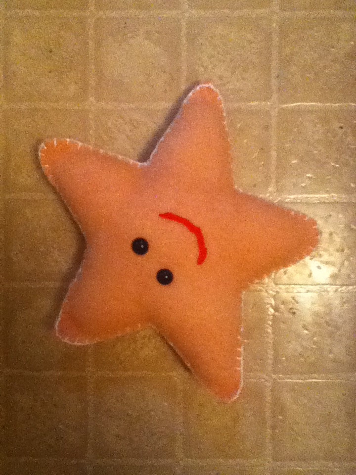 stuffed animal star