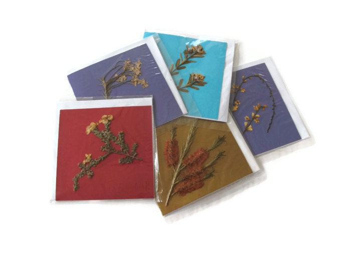 Australian pressed flower cards, real wildflowers, native plants, blank all occasion, set of five, red blue purple gold - Jillsgallery