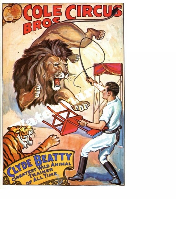 gun bros trainer free download