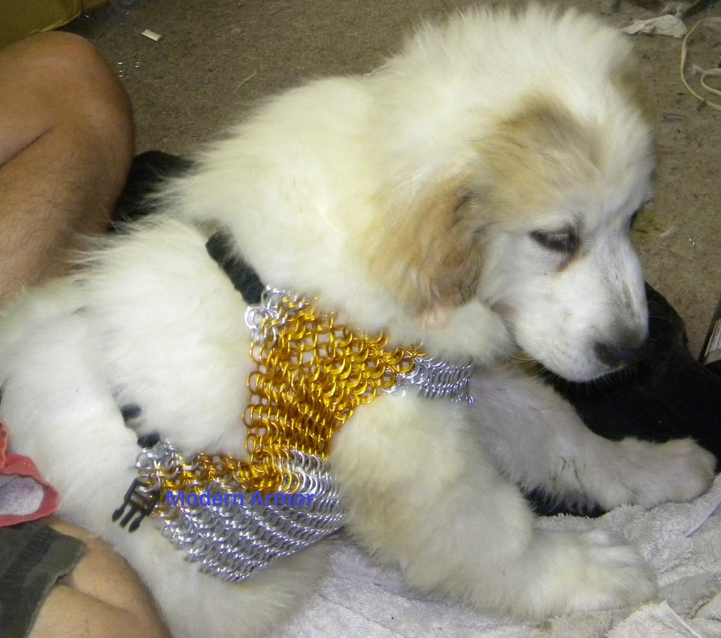 Chainmail Protective Dog Armor Working class