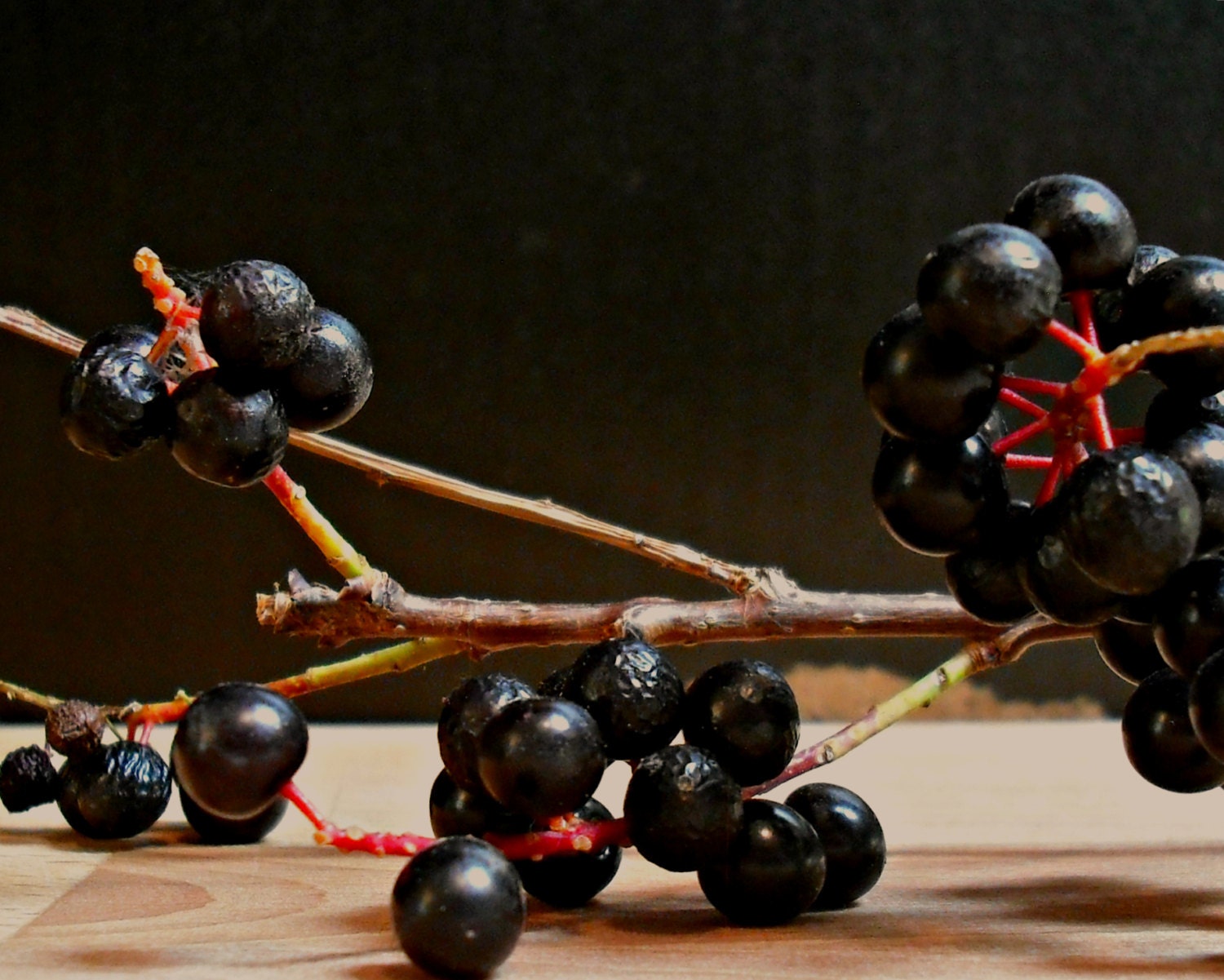 berries still life - a Printable Photograph - dahlies
