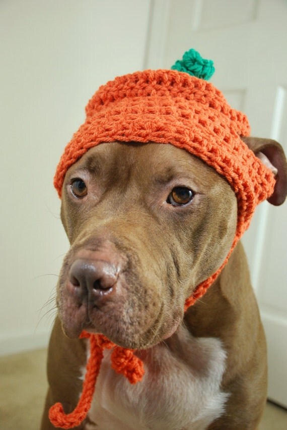 Pumpkin Dog Hat for Large Dogs Crochet Made to Order by courtanai