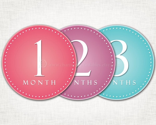 Monthly Stickers for Girls - PRINTABLE DIY - Instant Download - 1 - 12 Month Stickers Labels Pink Purple - Baby Numbers for Photos Il_570xn