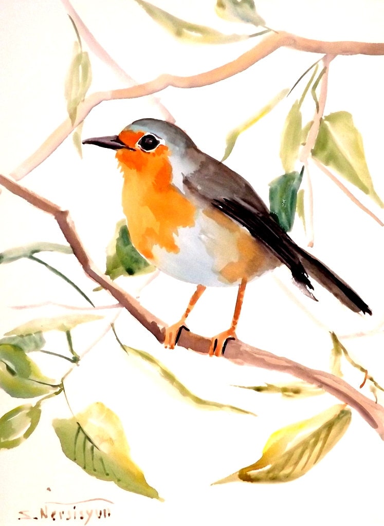 Robin Original Watercolor Painting 12 X 9 In By ORIGINALONLY