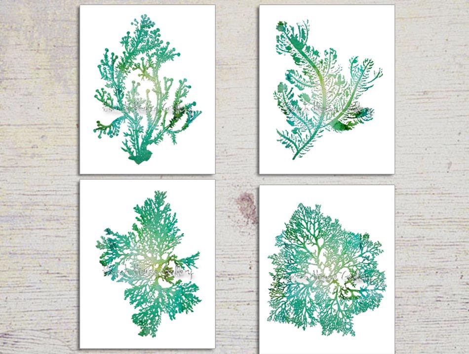 Turquoise Teal Wall Art, Seaweed Prints Teal Seaweed Prints, Turquoise Home Decor Seaweed Illustrations, Coral, Seaweed Print Set, Teal Mint