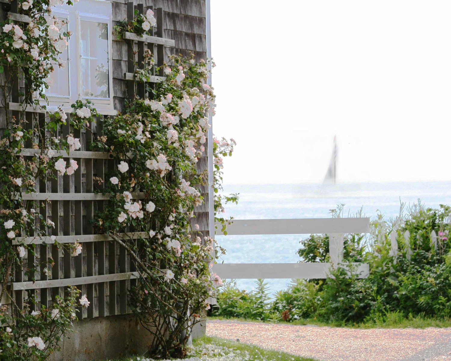 Photo Print - Sailboat, Fence, Pink Roses on Cape Cod, Shabby Chic Decor, Summer Cottage, Nantucket Cottage - CapeCodPhoto