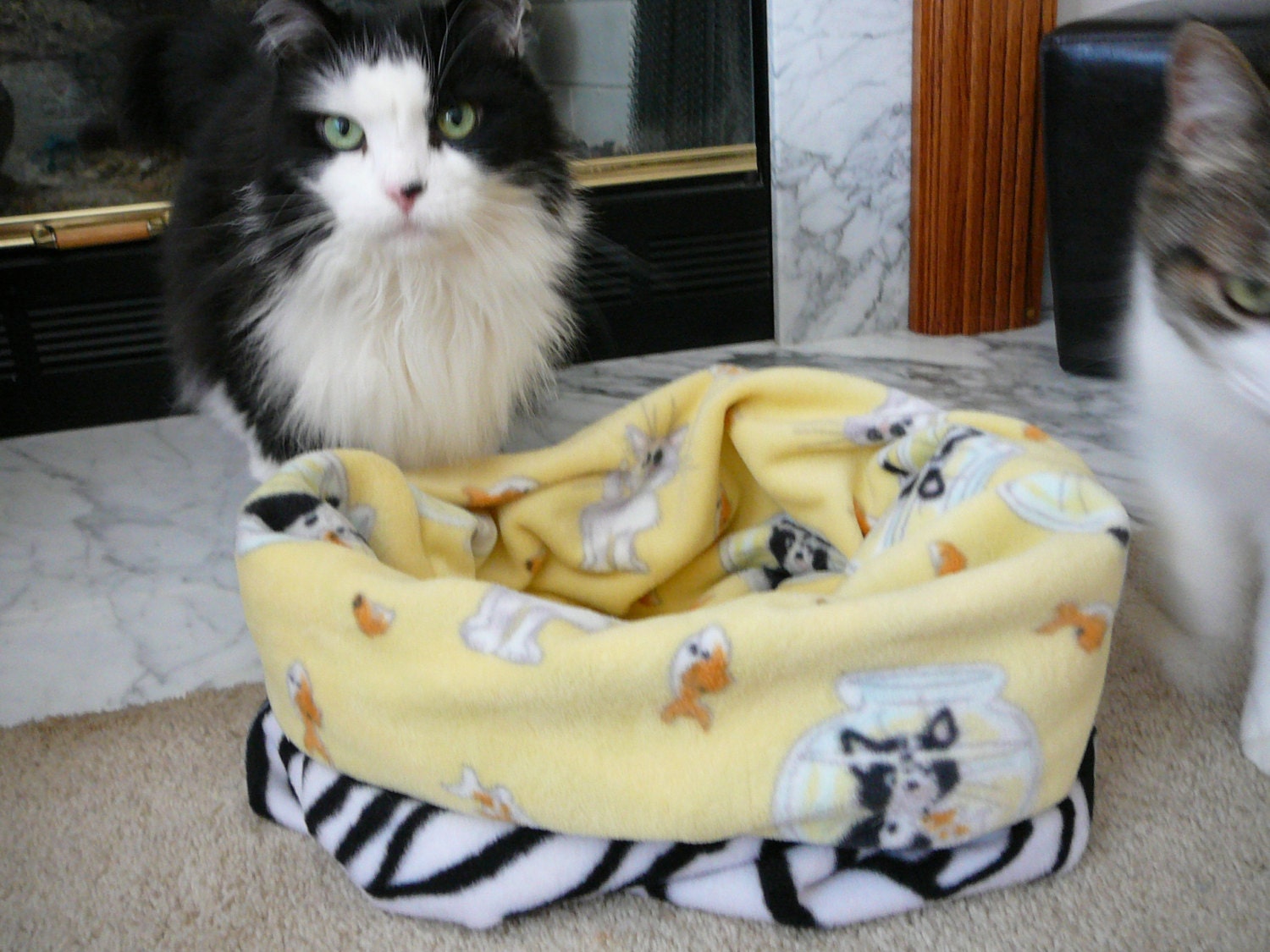 cat snuggle sack