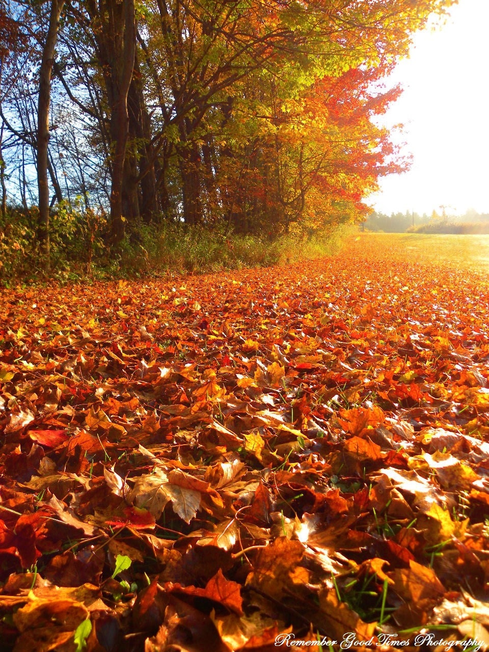 Autumn Colors - RGTPhotos