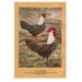 Antique Rooster Print, Vintage Bird Art Print, 1913 Poultry Illustration, Silver Campines