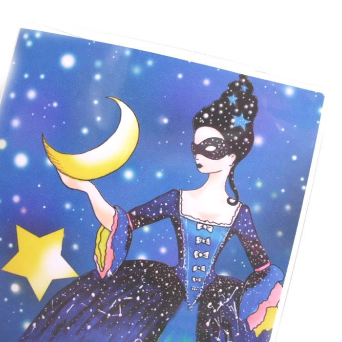 Passport Cover - Queen of Night - passport holder - stars and moon night sky - fits US passports - constellations - beesocks