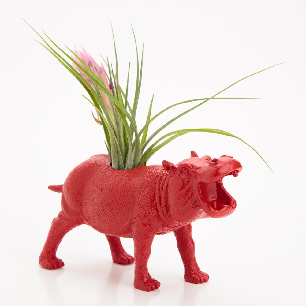 Hippo Planter with Air Plant Room Decor College by boygirltees