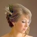 Birdcage Veil ,peacock Feathers Fascinator,(2 ITEMS), bridal Feathers Fascinator, Hair Accessories,bridal head piece