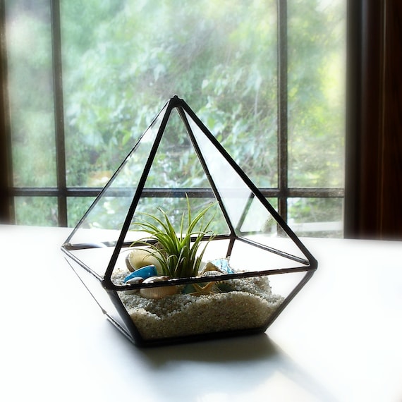 Glass Terrarium with Shells, Glass Geometric Planter, DIY