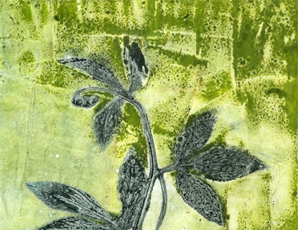 detail, giclee print, Passion Vine - 88editions