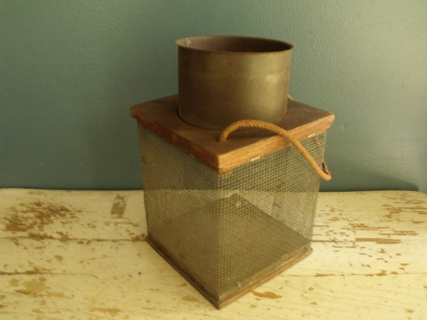 Cricket Cage Vintage Bait Box Wood Screen by KTsAttic on Etsy