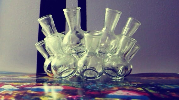 Multi-bulb flower vase