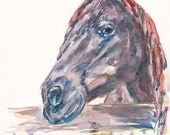 Brytani - one moment in time  Art Watercolor Painting   Print  8x11 Animal Horse  Portrait Home Decor Illustration  navy blue and red purple - mallalu