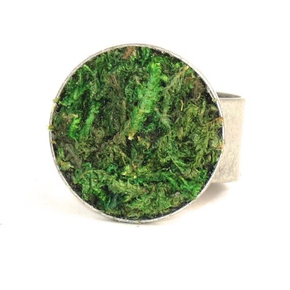 modern moss ring eco friendly terrarium jewelry by jensbackyard modern moss ring eco friendly terrarium jewelry by jensbackyard