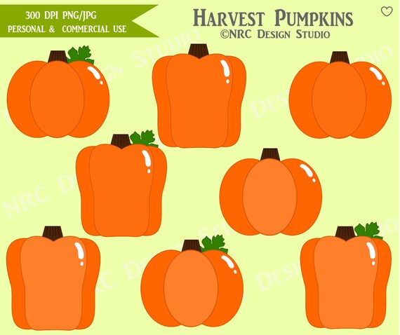 Fall Clip Art - Harvest Pumpkins Clip Art - Digital Pumpkin Clipart Il_570xn