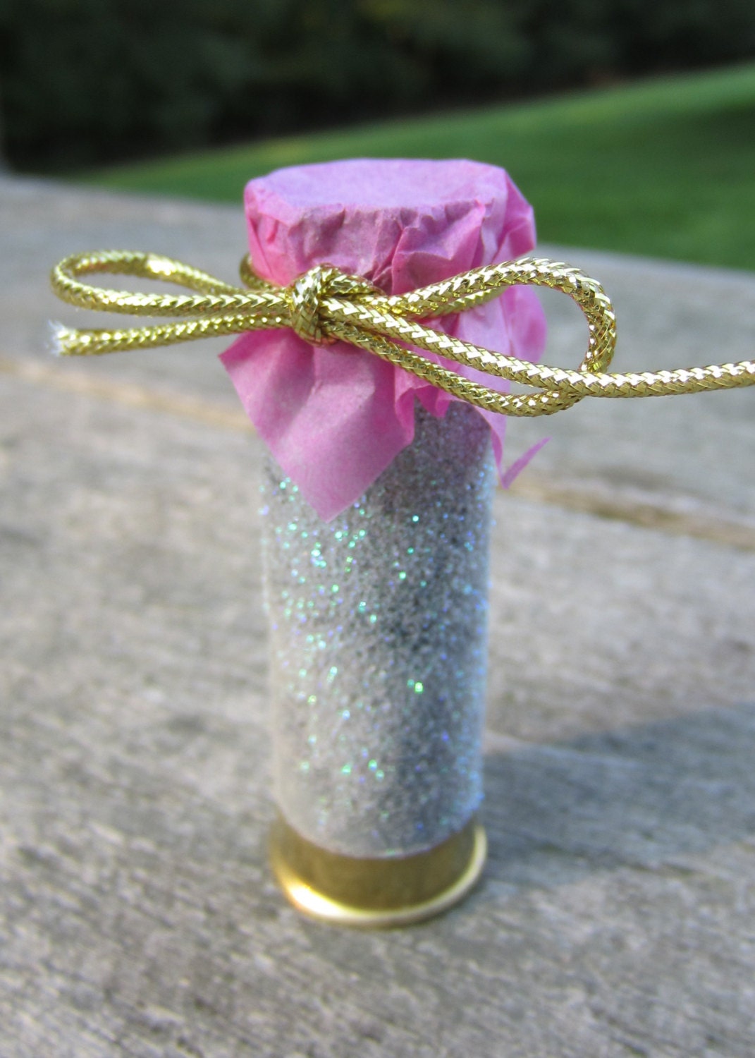 Shotgun Shell Pack of 10 Bird Seed or Confetti by ReadyAimCraft