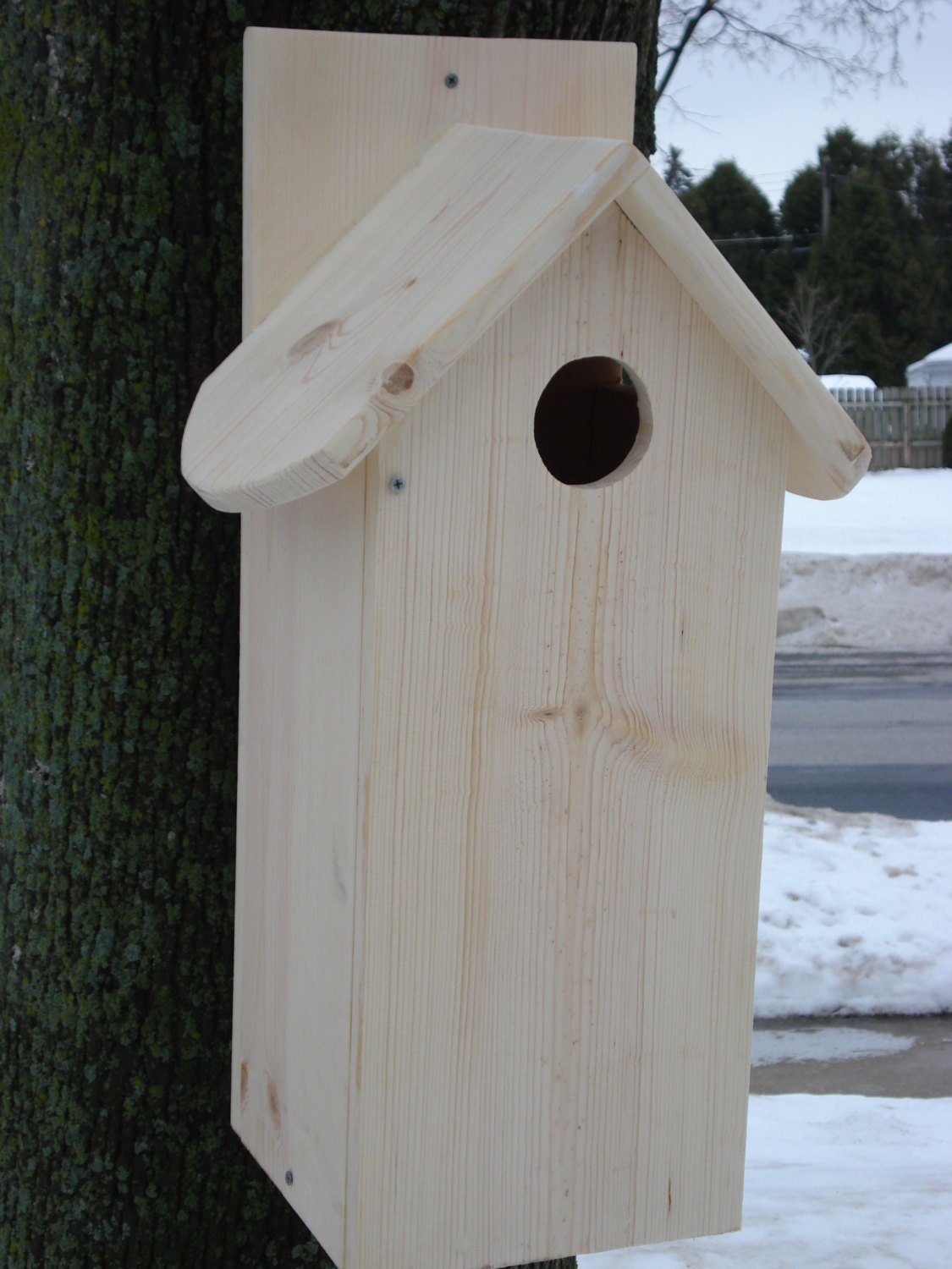 Popular items for northern flicker on Etsy