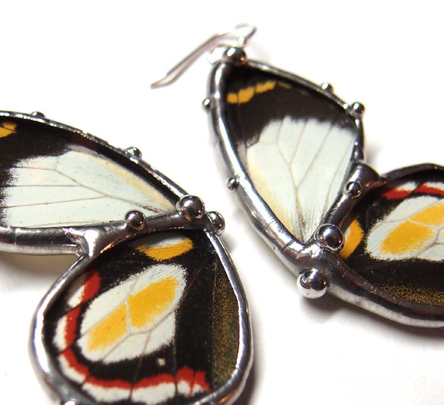 Earrings how butterfly neile Butterfly jewelry by  make Jewelry Colorful wings with Wings to Real real Insect