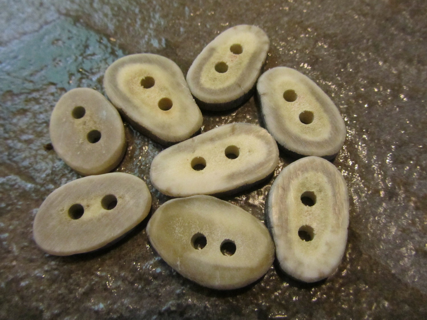 8 Deer Antler Buttons. by PymatuningCrafts on Etsy