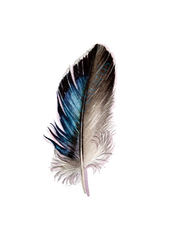 mallard feather original watercolor feather study by jodyvanb mallard feather original watercolor feather study by jodyvanb