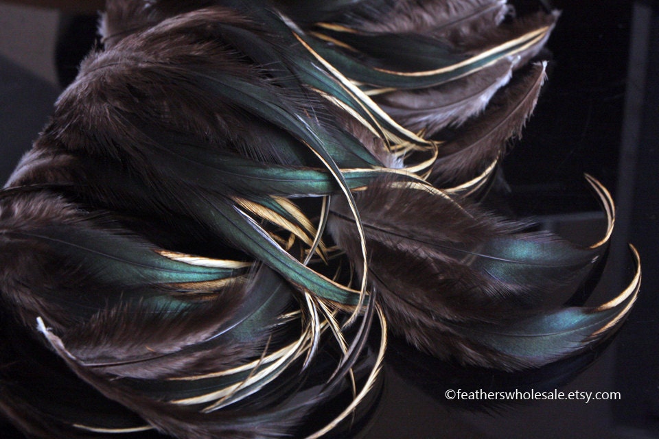 Lustrous Natural Feathers Hen Feather Golden Badger Pattern - Iridescent Feather Supplies for Crafting, Black Gold Feathers 12 Pack