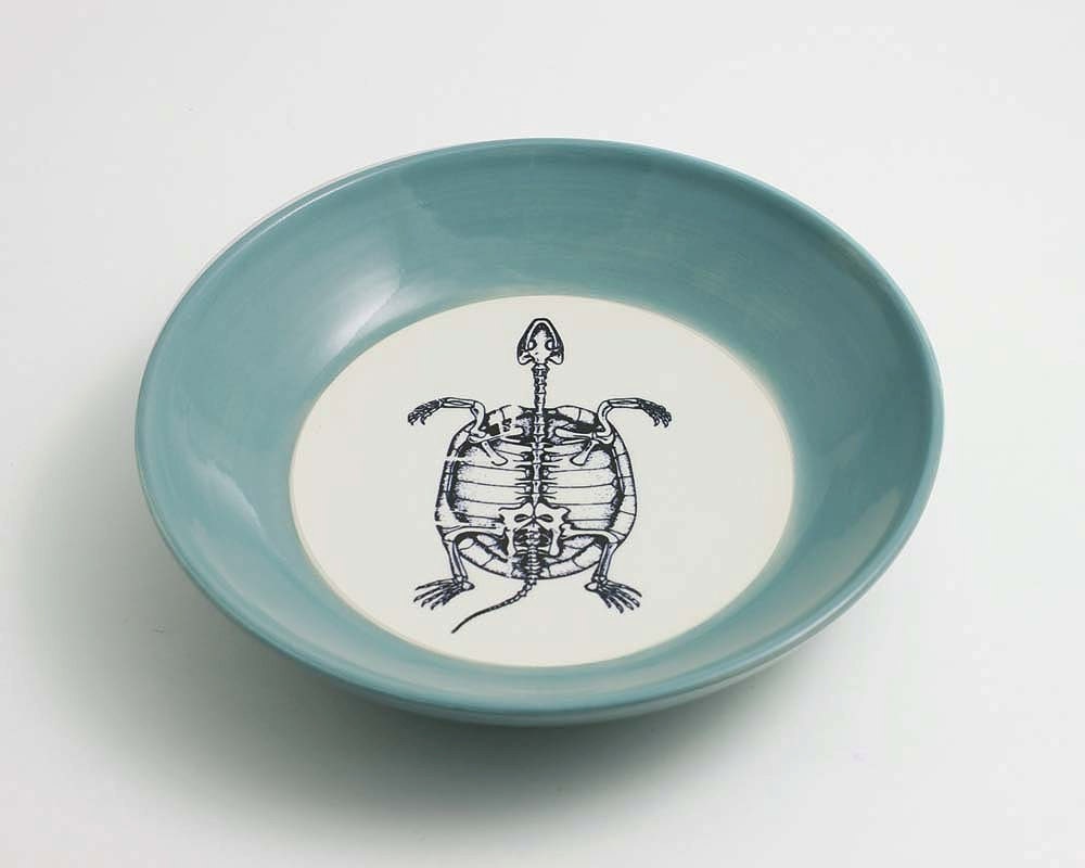 Turtle Skeleton Anatomy - Aqua Bowl with Turtle Illustration
