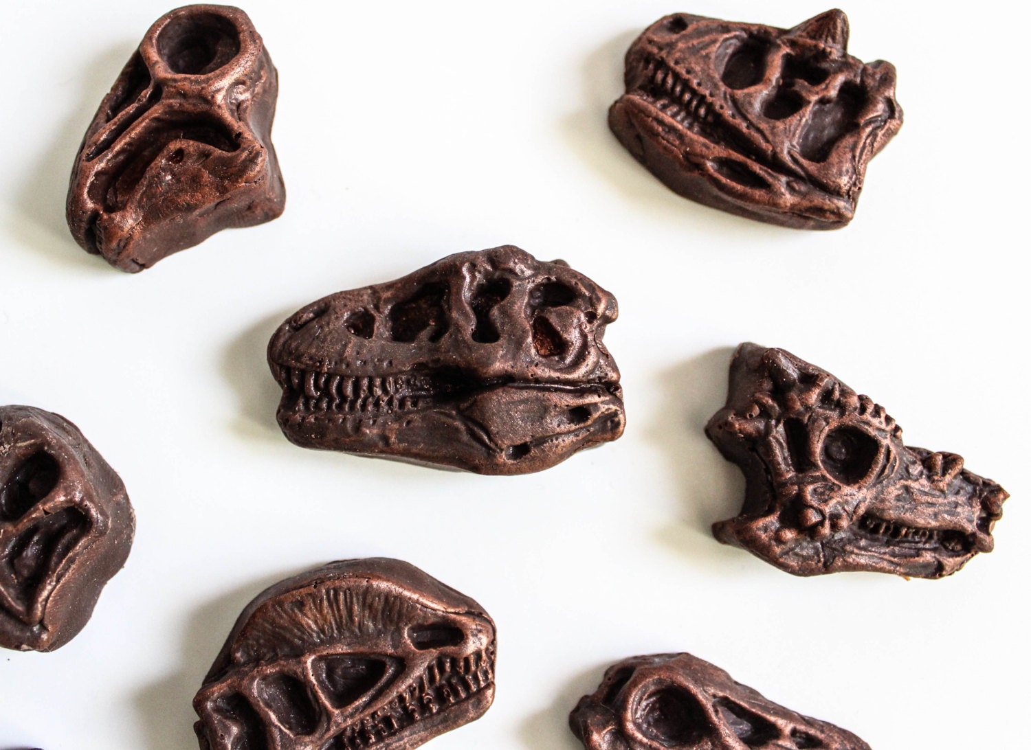 dinosaur fossil chocolate molds