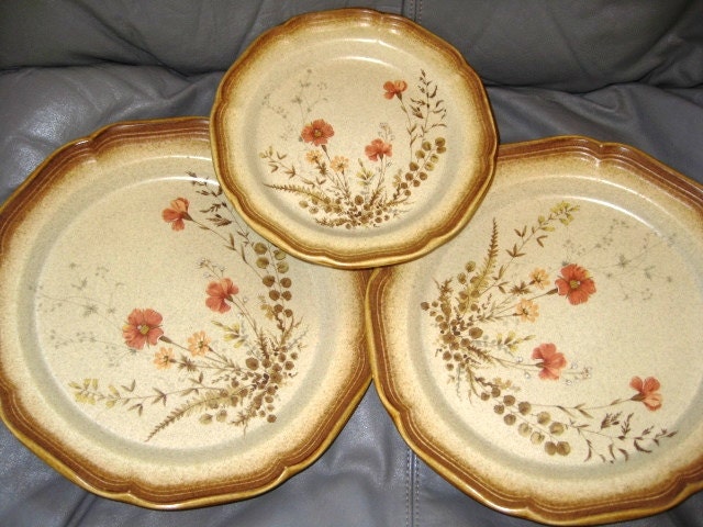 Mikasa Stoneware Jardiniere Discontinued Great, Whole Wheat Plates, Set of 3, Great - ChinaGalore