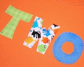 Boys Second Birthday TWO Shirt - Size 2 long sleeved orange with monsters/aliens in orange lime and blue - ThePolkaDotTotSpot