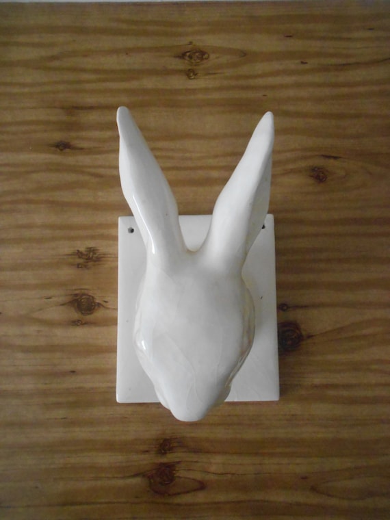 rabbit air wall mount