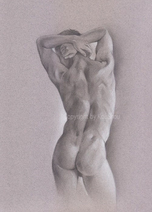 Print Fine Art Print Fine Art Drawing Male Nude In Pencil