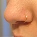 Nose Rings (Clip on) 14 colors to choose from