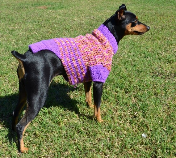 Items similar to Small Breed Dog Sweater on Etsy