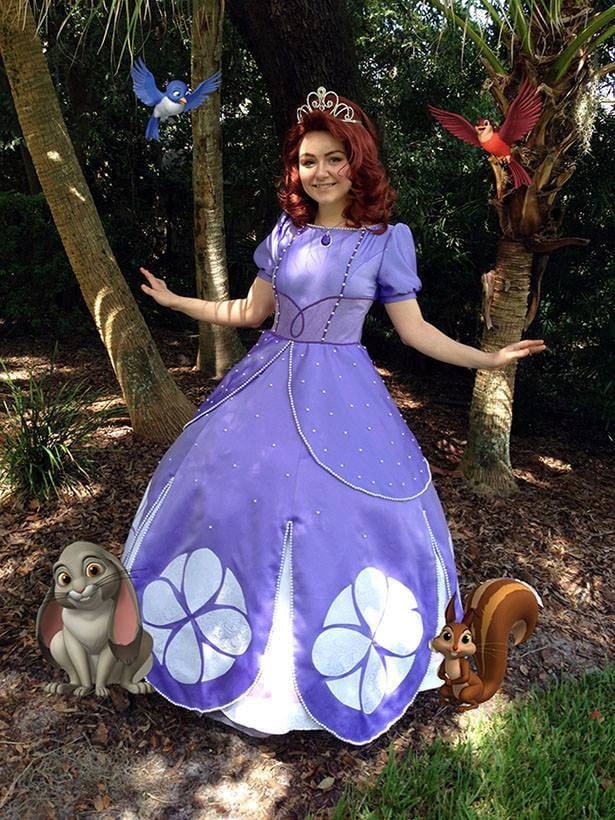 Items similar to Sofia the First Costume on Etsy