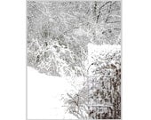 White Winter Garden,  Frosty  White Christmas, Home&Living , Peaceful / Modern / Monochromatic / Graphic Landscape, FREE SHIPPING USA