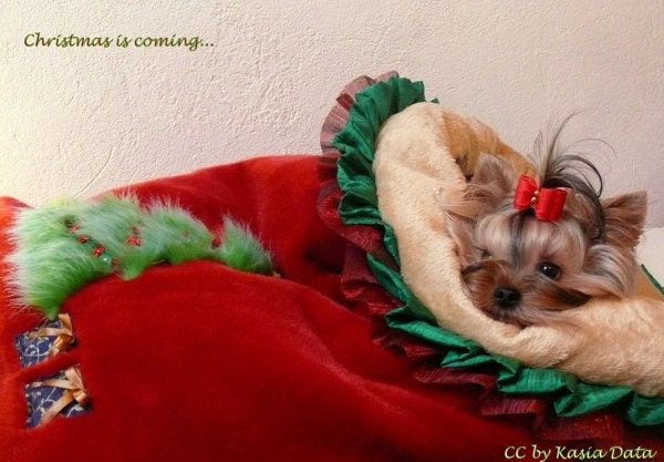 Christmas Cuddle Sack Red Tissavel Fur and Soft Golden Minky Fur Dog Bed small - DataDesignBoutique