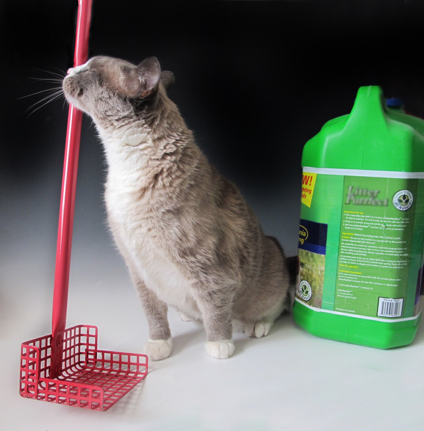 Unavailable Listing on Etsy