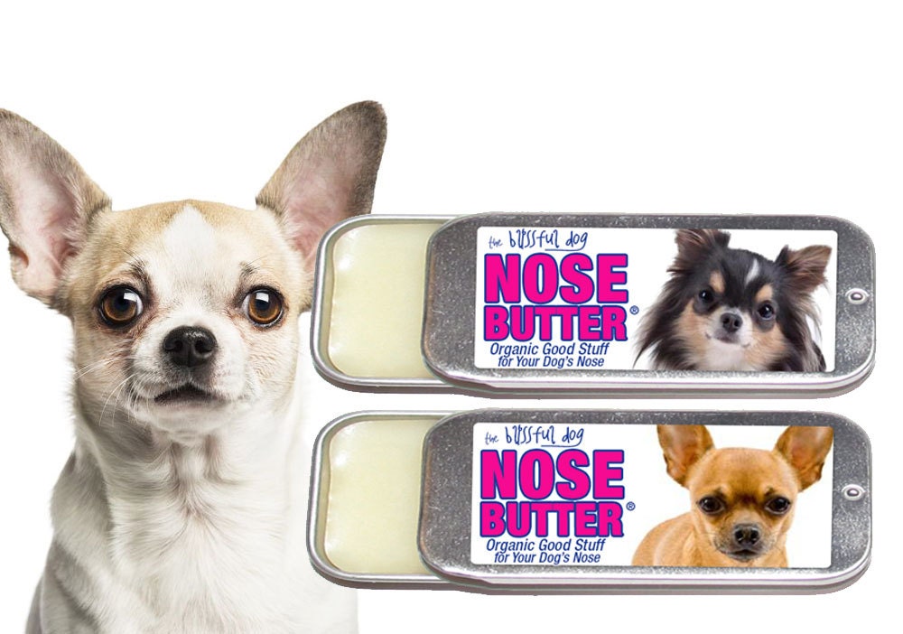 Chihuahua Dog NOSE BUTTER® Moisturizer for Dry by TheBlissfulDog