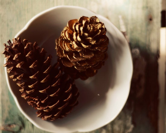 Winter pinecone photograph- brown, gold, cream, rustic, woodland, still life, bowl, holiday, christmas, winter decor, fine art print, 8x10 - dullbluelight