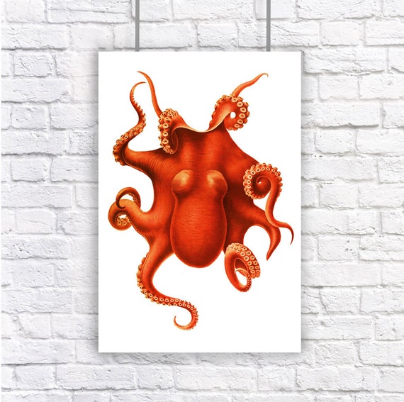 Large Octopus Orange Red Nautical Vintage Style Art Print