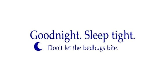 Good Night Sleep Tight Dont Let The Bed Bugs Bite Wall Decal Vinyl ...
