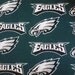 Philadelphia Eagles inspired baby girl outfit