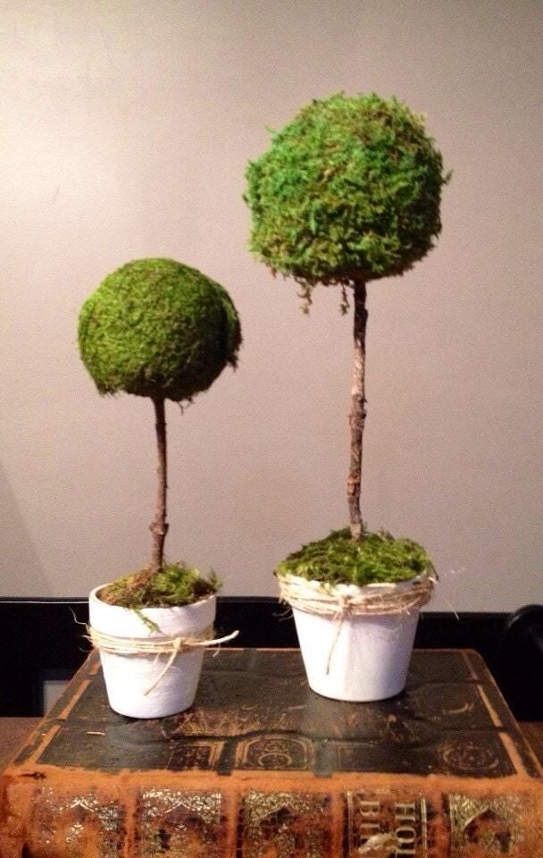 Topiary, Shabby Chic Topiaries, Moss Topiaries - EdenFloralDesign