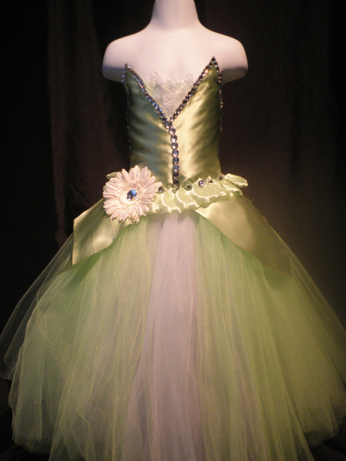 princess and the frog tutu outfit