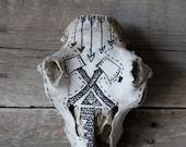 Hatchets on a Pronghorn Skull - gretelsheaddress